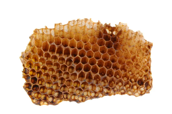 Honeycomb avsnitt på vit — Stockfoto