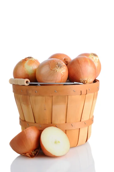 Cebollas marrones en cesta —  Fotos de Stock