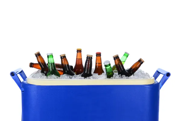 Eiskiste voller Bierflaschen — Stockfoto