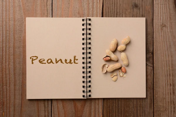 Peanuts on Open Notebook — Stock Photo, Image