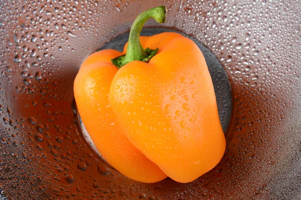 Pimiento naranja — Foto de Stock