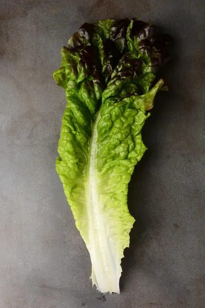 Piros saláta — Stock Fotó
