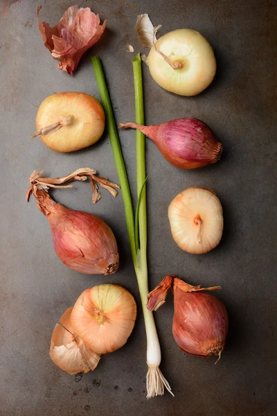 Shallots Green Onions and Boiling Onions — Stock Photo, Image