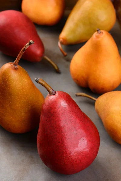 Bosc and Red Pears Closeup — Stock Photo, Image