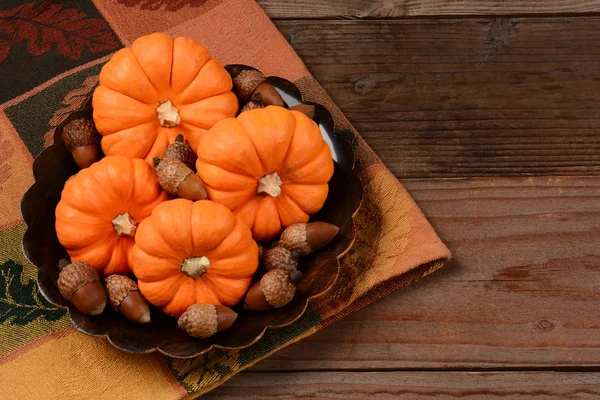 Mini-Kürbis-Stillleben — Stockfoto