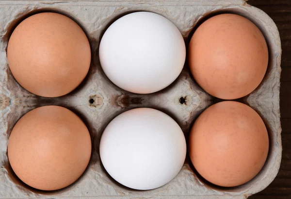 Huevos marrones y blancos en caja de 6 paquetes —  Fotos de Stock