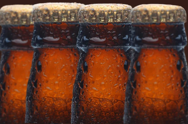 Four Wet Beer Bottles — Stock Photo, Image