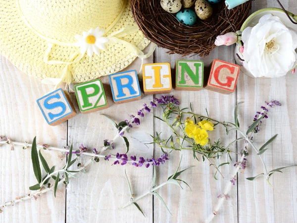 Blocks Spelling Out Spring — Stock Photo, Image