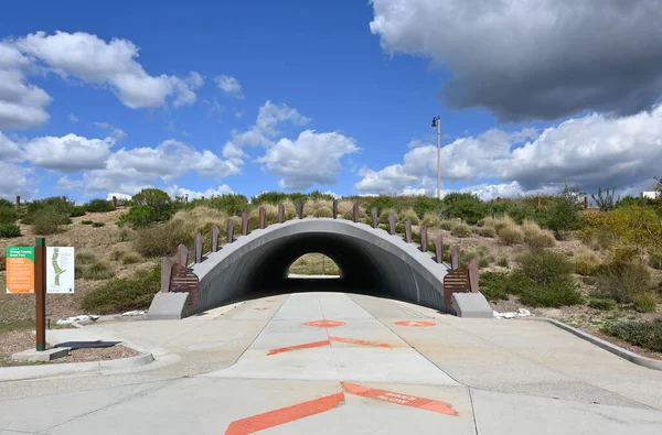 Irvine California Fev 2022 Passagem Subterrânea Túnel Área Bosque Orange — Fotografia de Stock