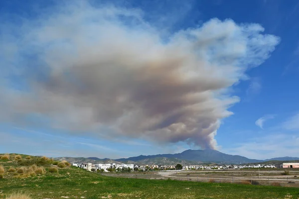 Irvine Calif Mar 2022 Fumaça Incêndio Sobe Sobre Pico Saddleback — Fotografia de Stock
