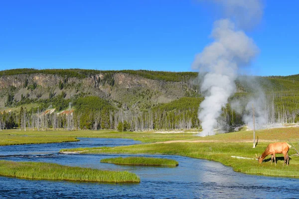 Actividad Térmica Parque Nacional Yellowstone Wyoming Vapor Eleva Desde Respiradero — Foto de Stock