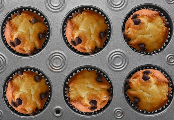 Sluiten Van Een Pan Vol Vers Gebakken Chocolade Chip Muffins — Stockfoto