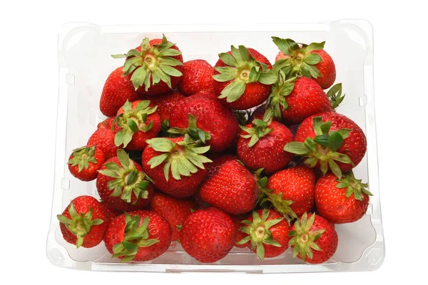 Overhead Shot Plastic Clamshell Full Fresh Ripe Strawberries — Fotografia de Stock