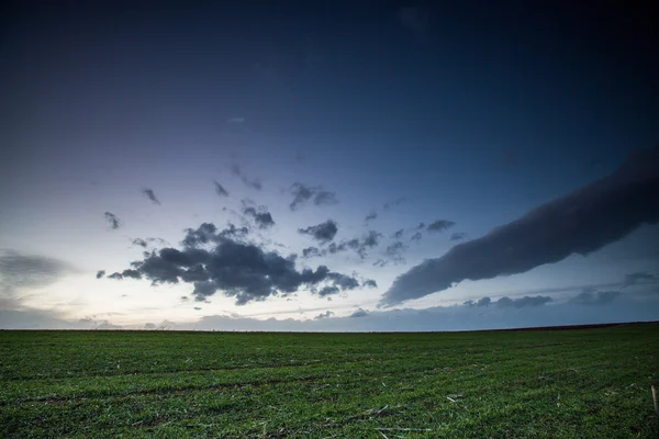 Grüne Wiese und blauer Himmel — Stockfoto