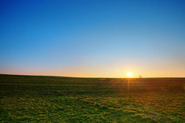 Sonnenuntergang und grüne Wiese — Stockfoto