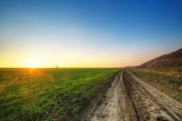 Sonnenuntergang und grüne Wiese — Stockfoto