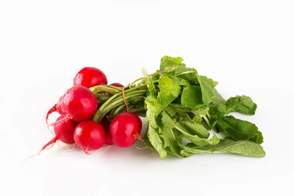 Radish isolated close up — Stock Photo, Image