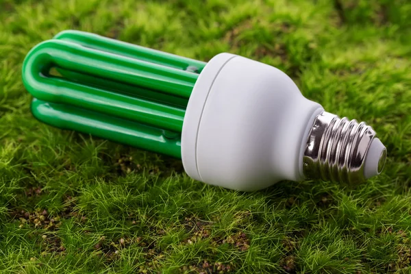 Ampoule à économie d'énergie sur herbe verte — Photo