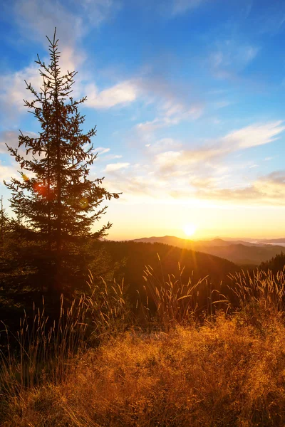 Autumn morning — Stock Photo, Image