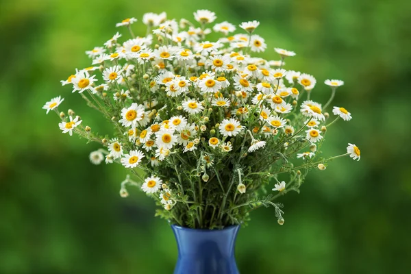 Camomilas blancas y fondo verde —  Fotos de Stock