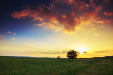 gün batımında bahar peyzaj 