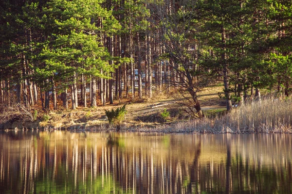 Fjällsjö, träd reflektion — Stockfoto