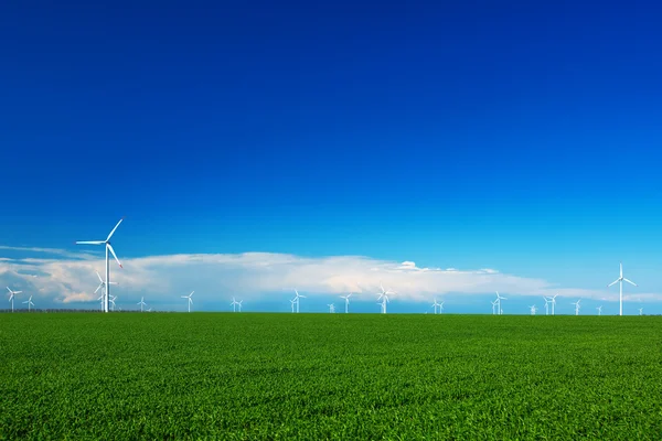 Turbina eolica e campo verde — Foto Stock