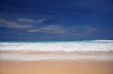 güzel, boş caribbean beach
