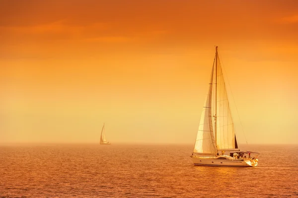 Segelschiff-Yachten mit weißen Segeln — Stockfoto