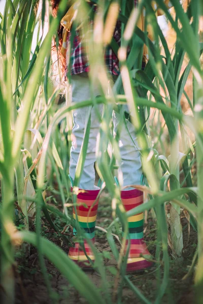 Menina Agricultor Com Botas Borracha Coloridas Plantas Verdes Horticultura Jardinagem — Fotografia de Stock