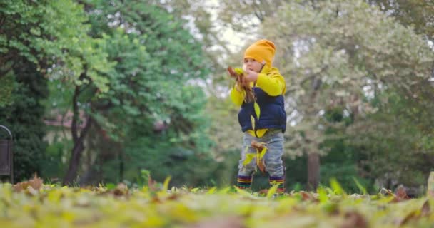 Ευτυχισμένο Παιδί Χαριτωμένο Αγόρι Παίζει Υπαίθριο Πολύχρωμα Πεσμένα Φύλλα Στο — Αρχείο Βίντεο