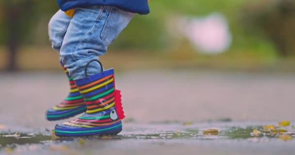 Mutlu Küçük Çocuk Sonbaharda Doğada Yağmurlu Bir Birikintisinde Zıplıyor — Stok video
