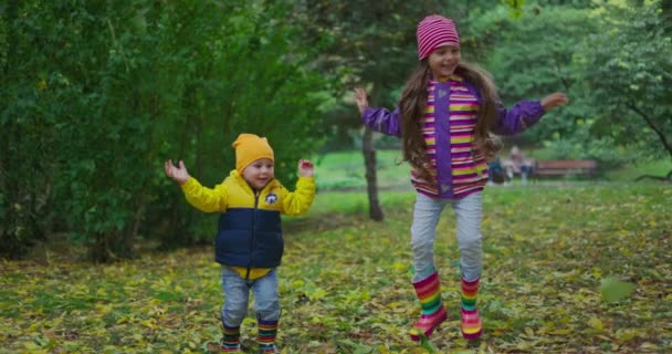 快乐的孩子们 可爱的女孩和男孩在户外玩耍 秋天落叶五彩缤纷 — 图库视频影像