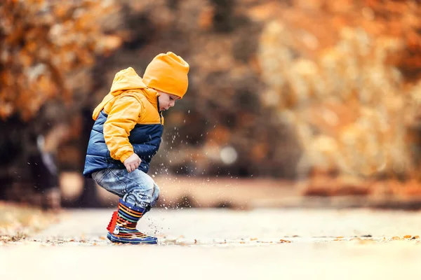 Mutlu Küçük Çocuk Sonbahar Parkında Yağmurlu Birikintisine Atlıyor — Stok fotoğraf