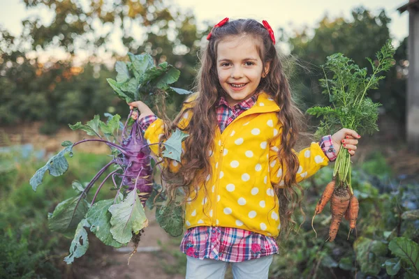 野菜の庭で小さな女の子の庭師新鮮な生物学を保持ちょうど収穫ニンジンとコフラビ — ストック写真