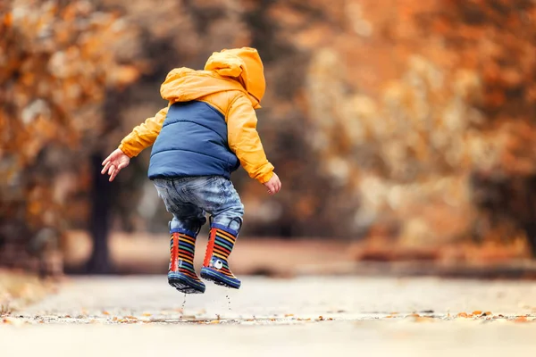Szczęśliwy Mały Chłopiec Skacze Deszczowej Kałuży Jesiennym Parku — Zdjęcie stockowe