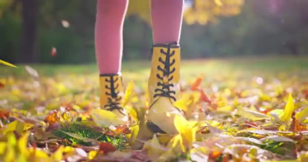 Gambe Donna Che Camminano Foglie Cadute Nel Parco Autunnale Felice — Video Stock