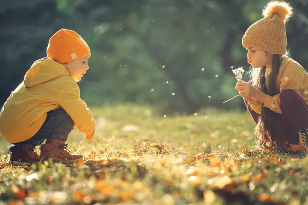 어린이들 형제와 자매들 민들레 초원에 — 스톡 사진