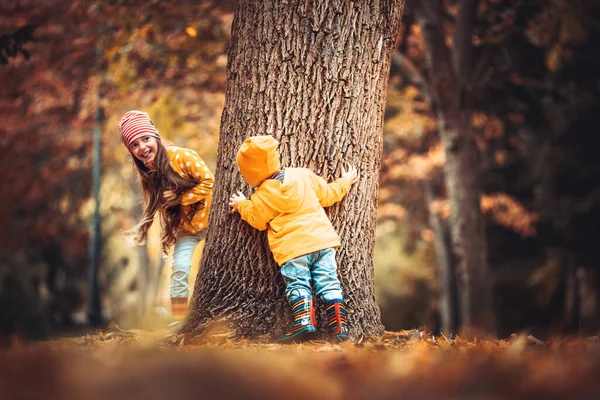 Erkek Kız Kardeş Sonbahar Ağaçlarının Bahçesinde Oynuyorlar — Stok fotoğraf