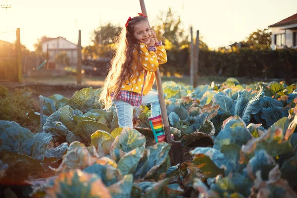 Feliz Niña Agricultora Trabajando Campo Tierra Cultivo Col Verde Orgánica —  Fotos de Stock