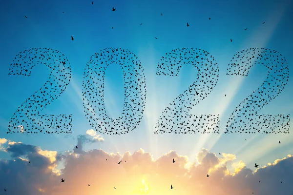 2022 Szczęśliwego Nowego Roku Sylwetki Latających Ptaków Zachodzie Słońca — Zdjęcie stockowe