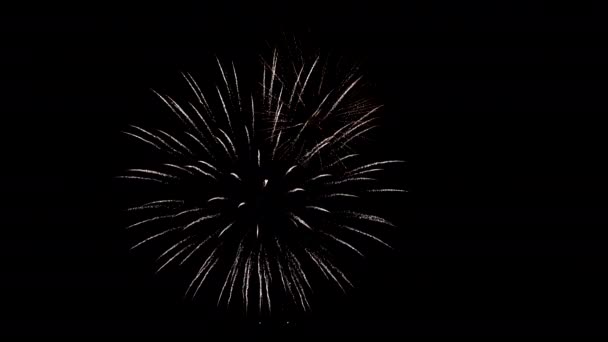 空に輝く花火 お祝いコンサート クリスマスの夜 新年の前夜2022 オーディオビデオ — ストック動画