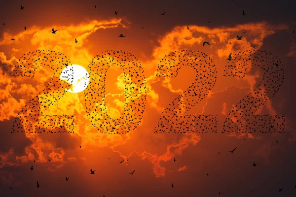 Silhuetas Aves Voadoras Pôr Sol Céu Texto 2022 — Fotografia de Stock