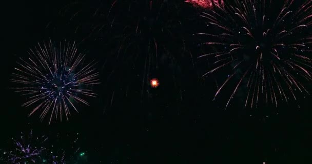 Sparkle Fireworks Sky Burning Lights Fireworks Background — Vídeo de Stock