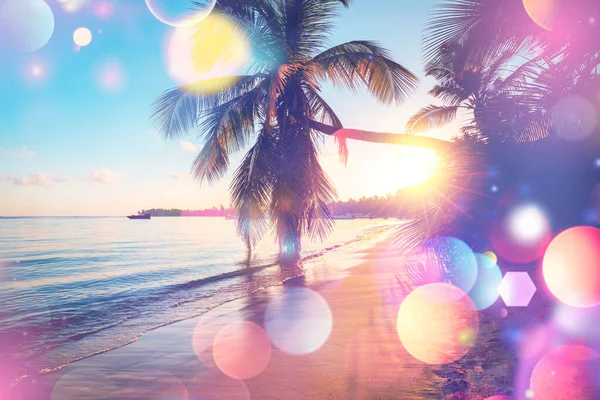 Abstract Achtergrond Van Tropische Palmboom Met Kleurrijke Bokeh Zonlicht Zonsondergang — Stockfoto