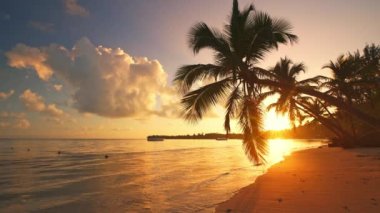 Palmiye ağacının gün doğumu ya da batımı manzarası ve güzel tropikal ada plajsız döngü görüntüleri. Hiç bitmeyen video