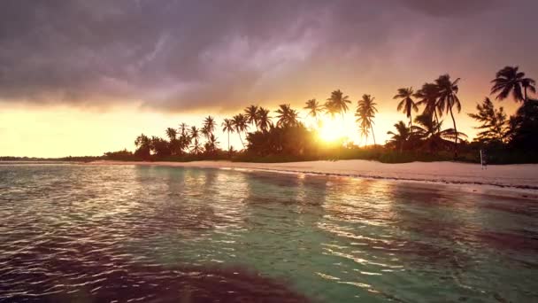 ヤシの木と海 虹と熱帯エキゾチックなビーチで雨のループビデオ 海の夕日 シームレスに終わることのない映像 — ストック動画