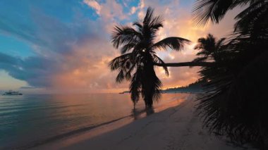 Punta Cana, Dominik Cumhuriyeti 'ndeki tropikal sahil kıyılarında palmiye ağaçları ve lagün ile birlikte 4k' lık deniz gündoğumu videosu
