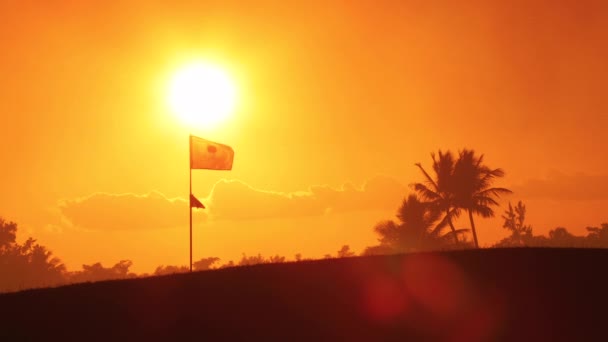 Ilha Tropical Com Palmeiras Lagos Resort Campo Golfe Luxo — Vídeo de Stock