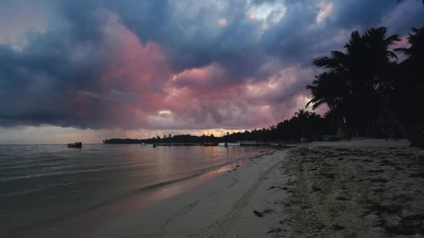 トロピカルパラダイス島のエキゾチックなビーチにヤシの木 日の出時の劇的な雲 — ストック動画